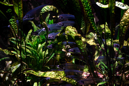 P1050819.jpg
