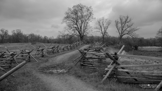 28951526742_5ac08f58e5_o-reduced.jpg