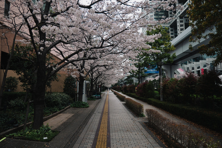 P1030379-reduced.jpg