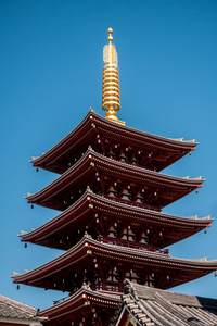 P1030565-reduced.jpg