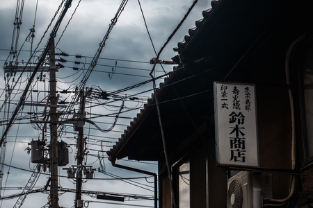 P1030741-reduced.jpg