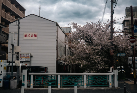P1030754-reduced.jpg
