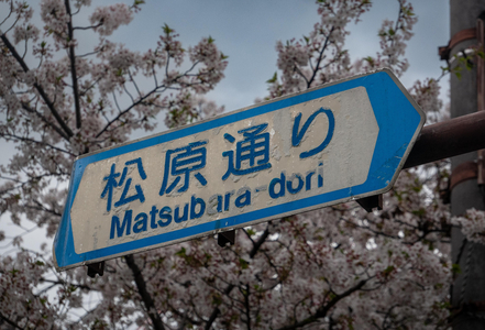 P1030765-reduced.jpg