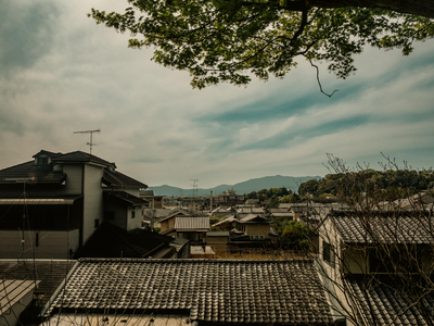 P1040303-reduced.jpg