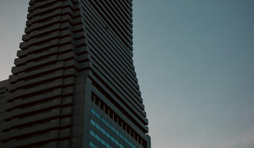 P1040417-reduced.jpg