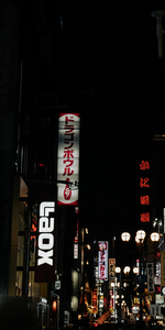 P1040424-reduced.jpg