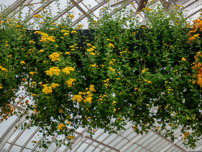 P1050083-reduced.jpg