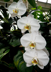 P1050093-reduced.jpg