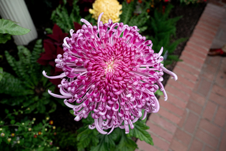P1050152-reduced.jpg