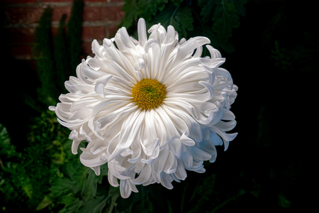 P1050178-reduced.jpg