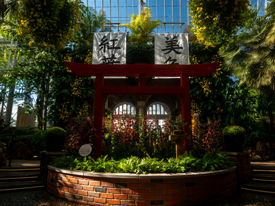 P1050857-reduced.jpg
