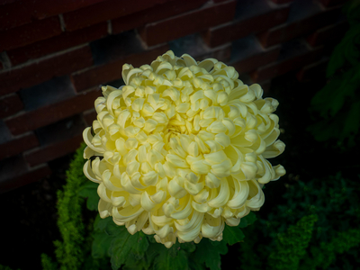 P1050862-reduced.jpg