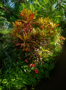 P1050874-reduced.jpg
