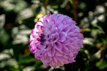 P1050940-reduced.jpg