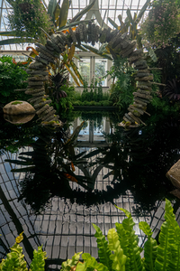 P1060003-reduced.jpg