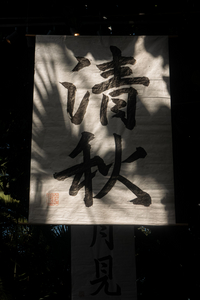 P1060049-reduced.jpg