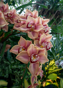 P1050489-reduced.jpg