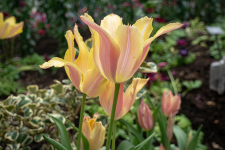 P1050545-reduced.jpg