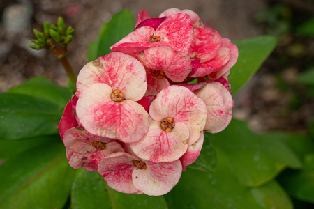 P1050610-reduced.jpg