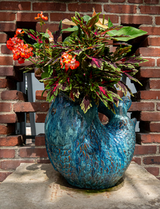 P1040905-reduced.jpg
