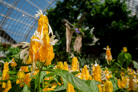 P1040925-reduced.jpg