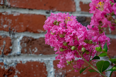 P1040940-reduced.jpg