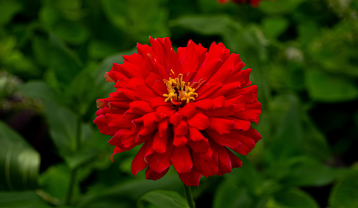 P1040985-reduced.jpg