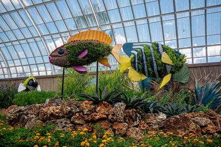P1040999-reduced.jpg