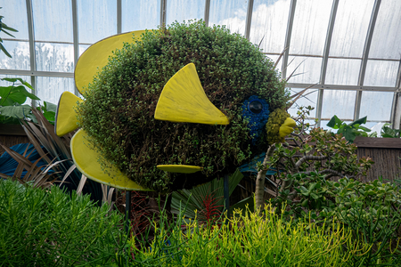 P1050004-reduced.jpg