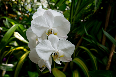 P1050012-reduced.jpg