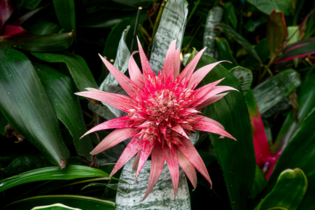 P1050016-reduced.jpg